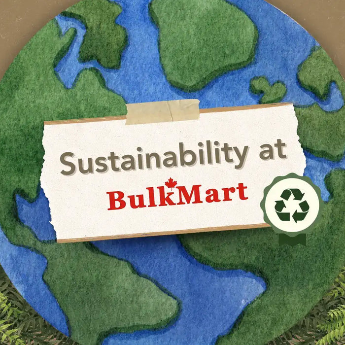 Sustainability at Bulk Mart: Practical Solutions for a More Sustainable Business