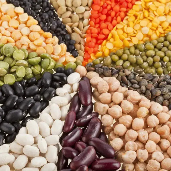 Frijoles secos y lentejas
