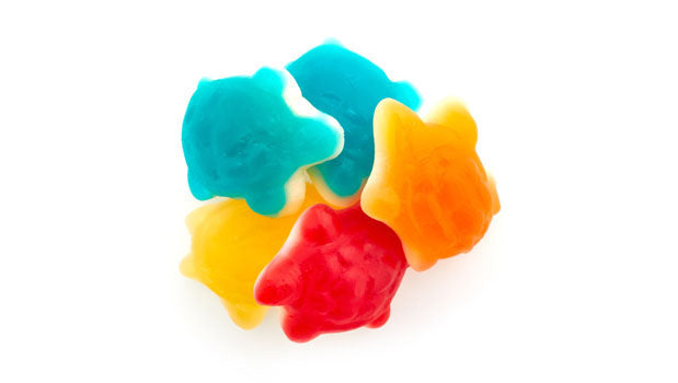 Gummy Jelly Turtles Bulk Gummies - 12 Kg