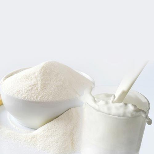 Leche en polvo