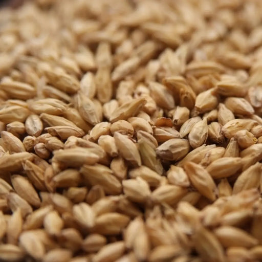 Malt Brewers 2 Row - 25 Kg