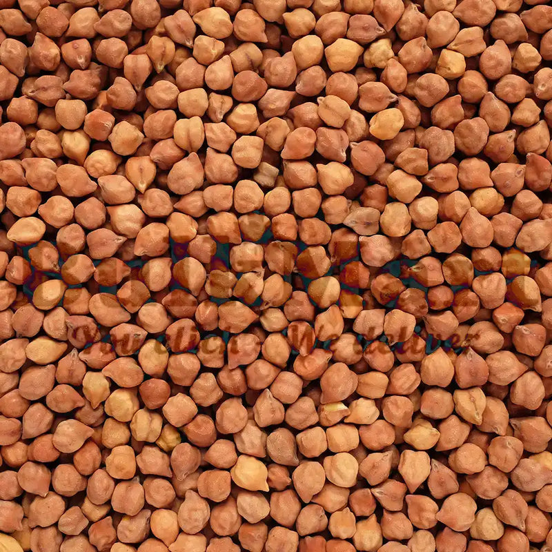 Clic - Garbanzos negros secos / Kala Chana - 5 kg