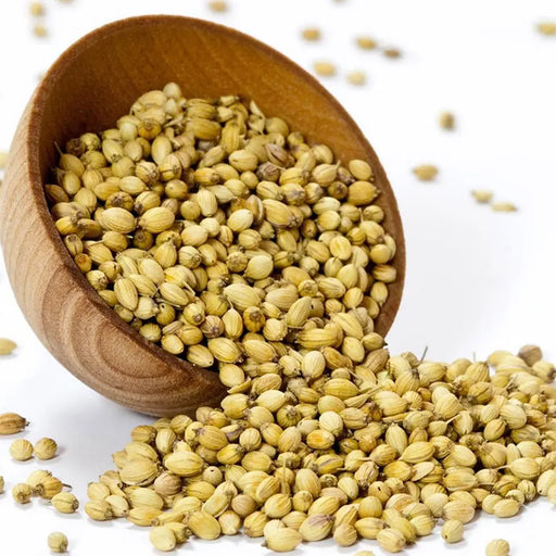 Bulk Dried Coriander seeds 