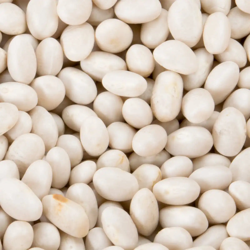 Dried White Kidney Beans - 5 Kg