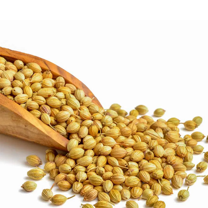 CORIANDER SEEDS