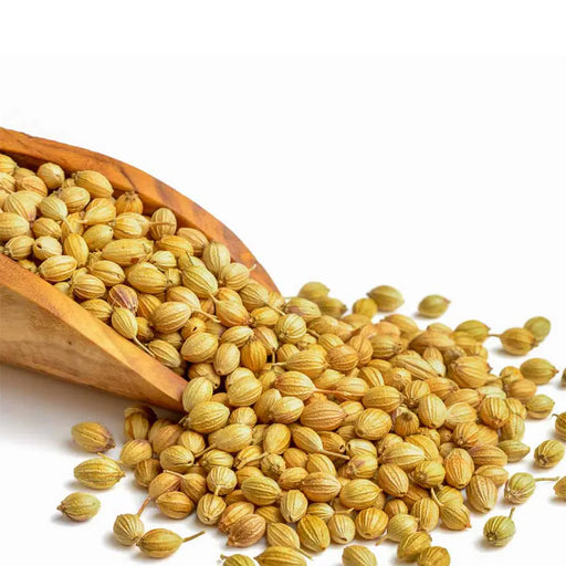 CORIANDER SEEDS