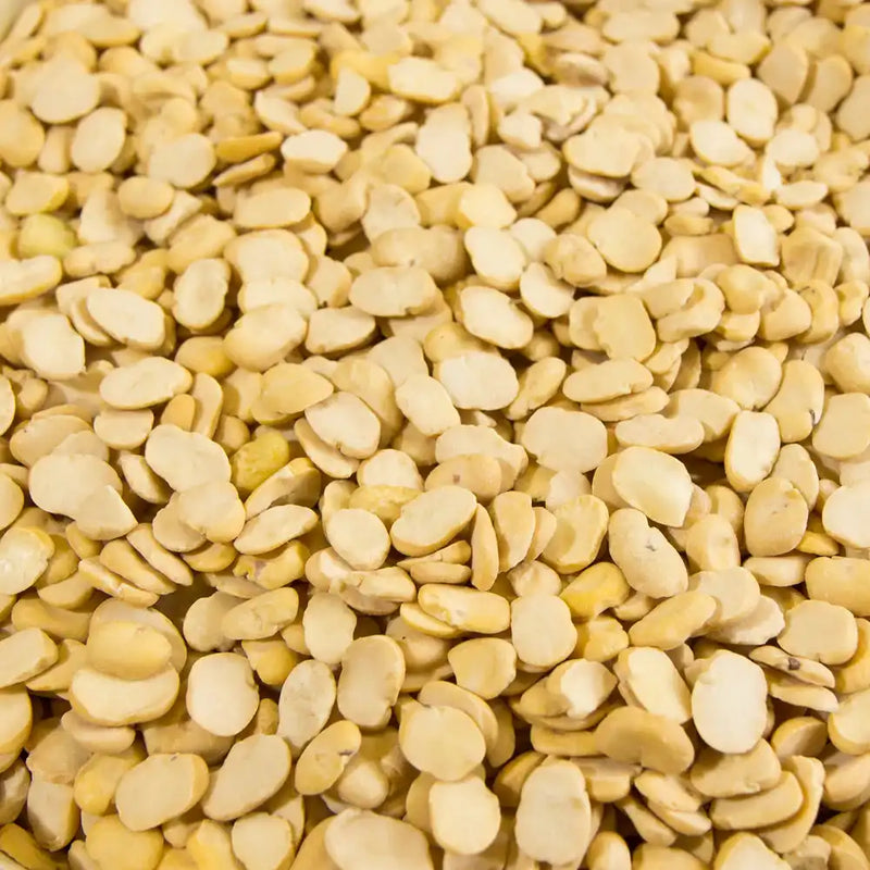 Dried Split Fava Beans - 55 Lbs