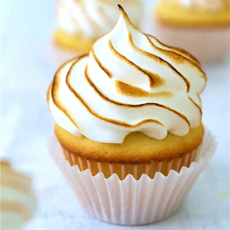 Meringue Powder Bulk - 6 Kg