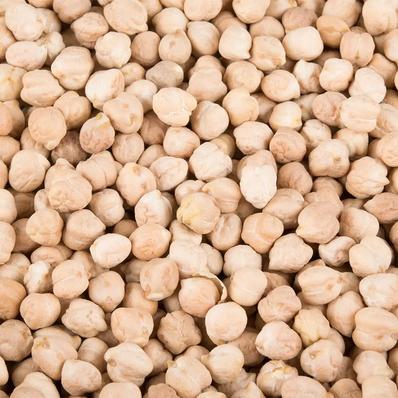 Dried White Chickpeas 9 mm / Garbanzo Beans - 55 Lbs