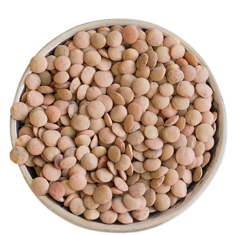 Whole Brown Lentils 