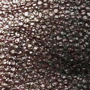 MC - Disposable Hair Net Brown Honeycomb - 100/Pack - Bulk Mart