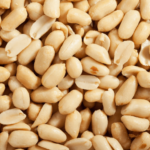 Prosperity - Peanuts Salted Roasted - 1.5 Kg - Bulk Mart