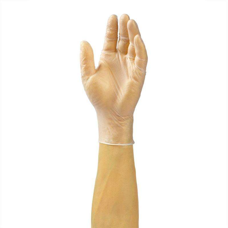 Safety Zone - Vinyl Gloves Medium Powder Free - 10 x 100 / Case - Bulk Mart