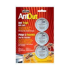 Wilson - Antout Ant Traps - 3 / Pack - Bulk Mart